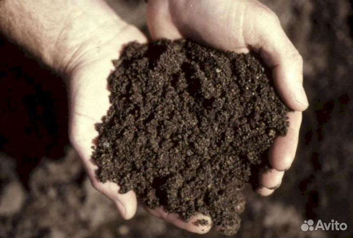 Земля чернозем плодородный грунт