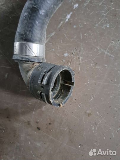 Патрубок охлаждения BMW E53