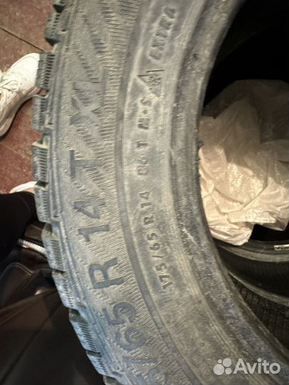 Gislaved NordFrost 100 175/65 R14