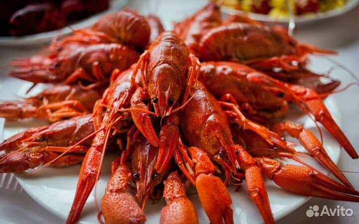 Доставка раков Севастополь, Ялта, Симферополь