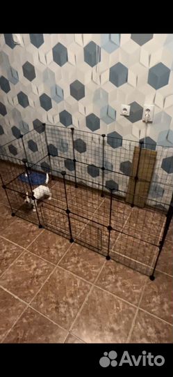 Вольер для собак в квартиру
