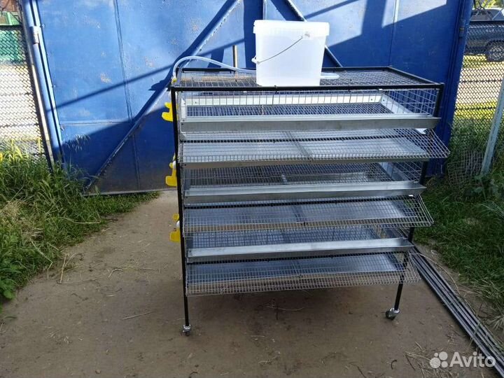 Клетка для перепëлок
