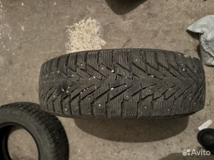 Amtel NordMaster Evo 175/70 R13