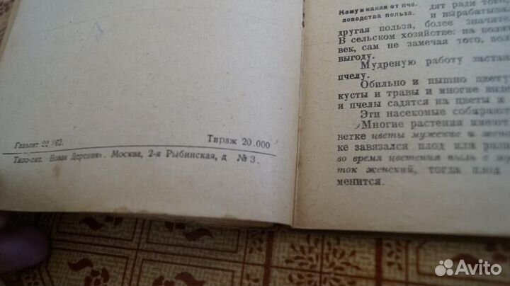 В. Н. Чудинов. Заводите пчел 1925 год