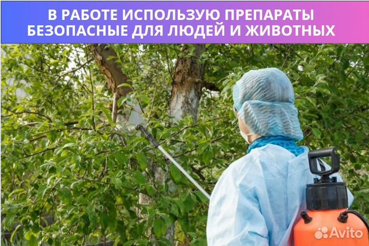 Уничтожение клещей, муравьёв, комаров, обработка