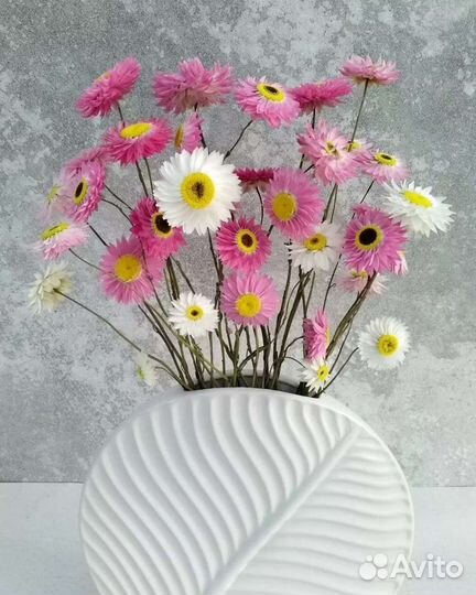 Кермек, краспедия и другие натуральные сухоцветы