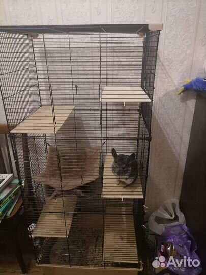 Большая клетка для шиншиллы