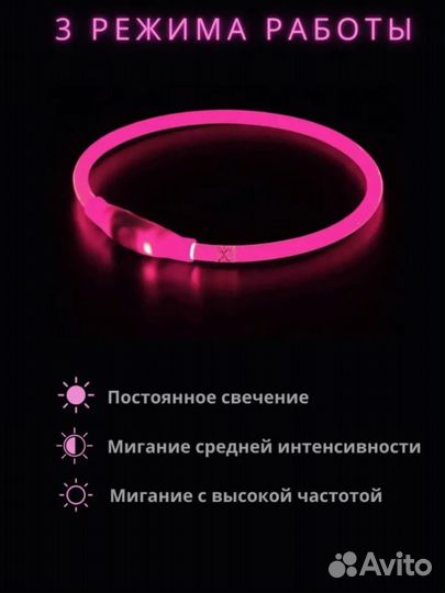 Ошейник светодиодный