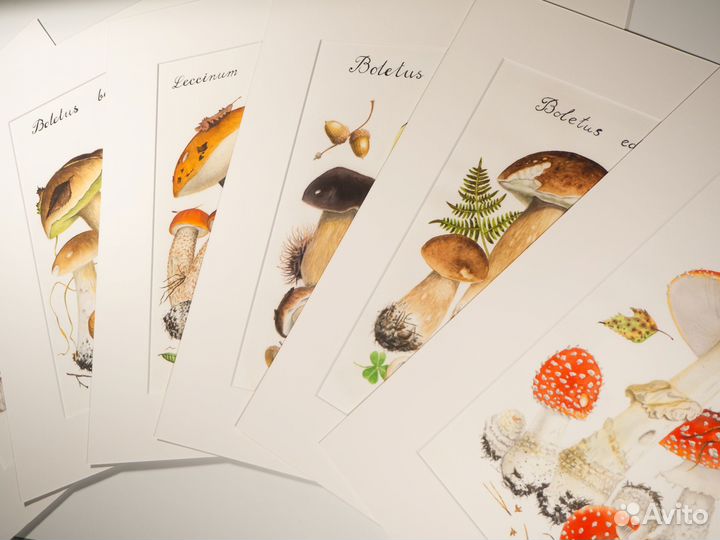 Авторские принты жикле акварелей Кастальского Д