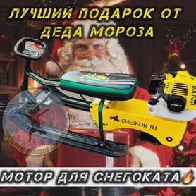 Снегокаты с мотором оптом