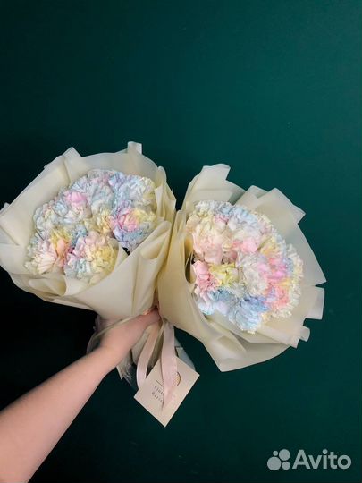 Акварельные диантусы