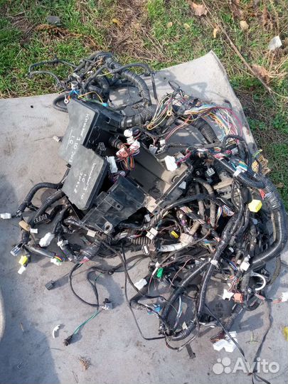 Проводка двигателя nissan qashqai j10 1.6