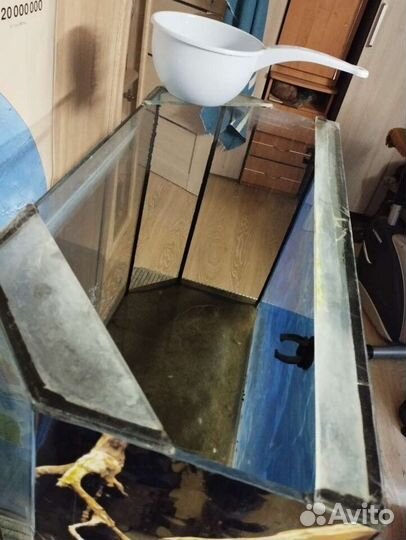А квариум 100 литров с тумбой в ремонт