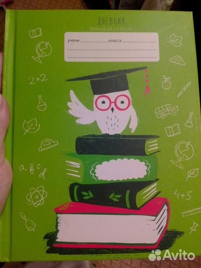 Дневник школьный книга