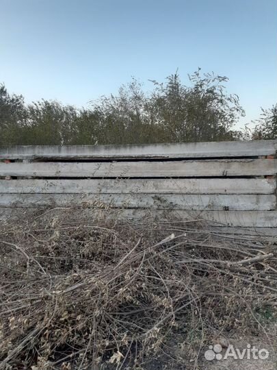 Бетонные плиты