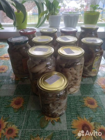 Грузди маринованные