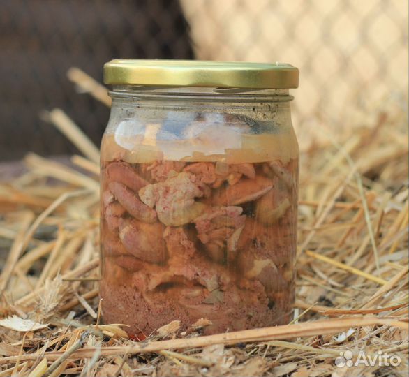 Домашняя тушенка