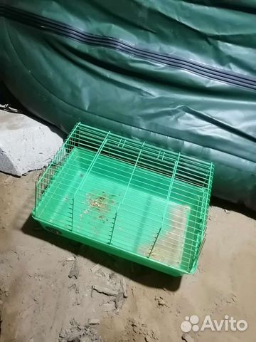 Клетка для грызунов