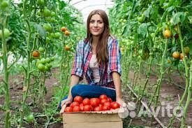 Вахта. Елец. Упаковщик, разнорабочий