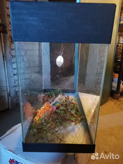 Аквариум