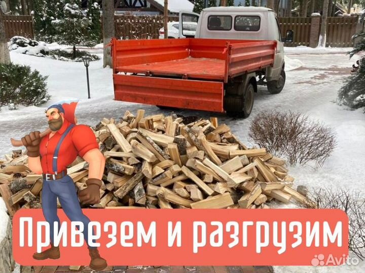 Дрова березовые