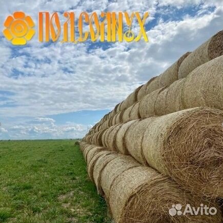 Сено, Сено в кипах и рулонах