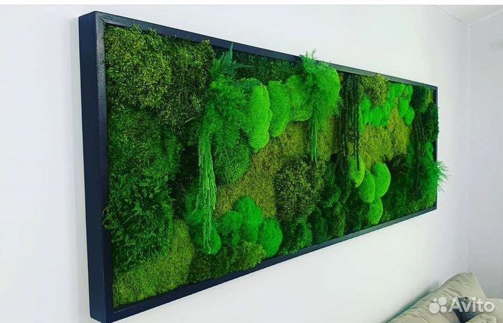 Мох стабилизированный фитокартина фитостена панно