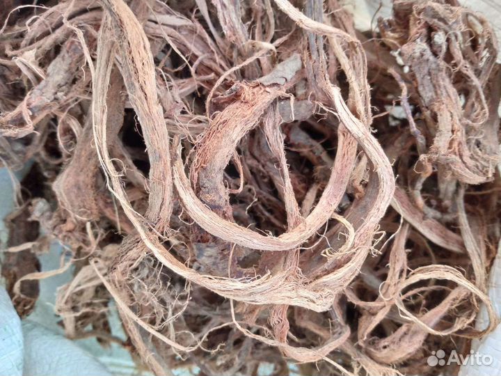 Красный корень