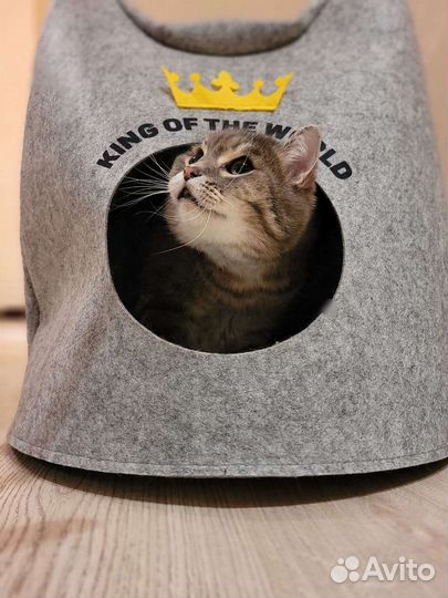 Домик для кошки