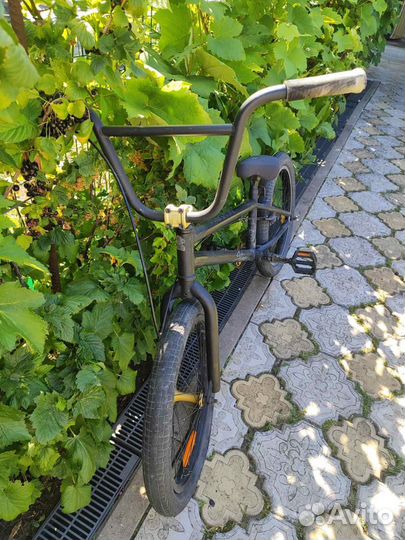 Bmx stern piligrim 20