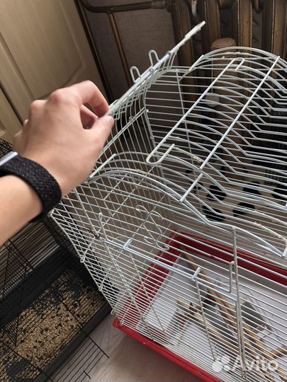 Клетка для грызунов и попугая