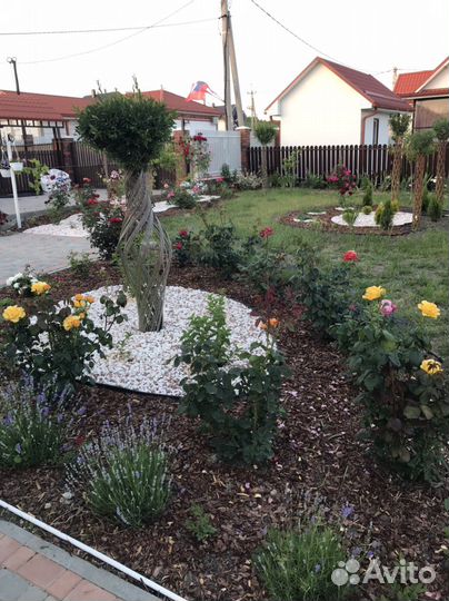 Русская пальма, плетёное дерево