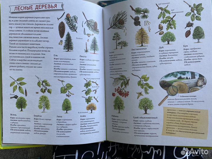 Новые книги для детей