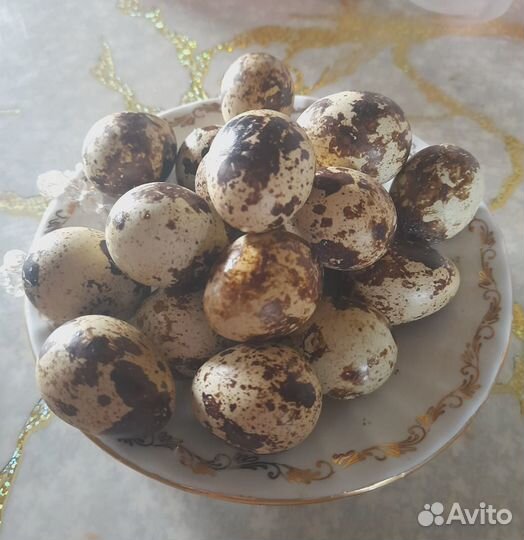 Яйца перепелиные домашние