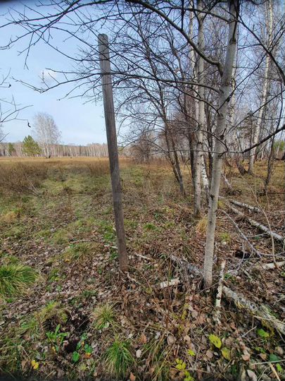 Участок 16 сот. (ИЖС)