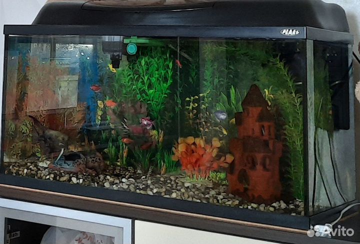 Аквариум
