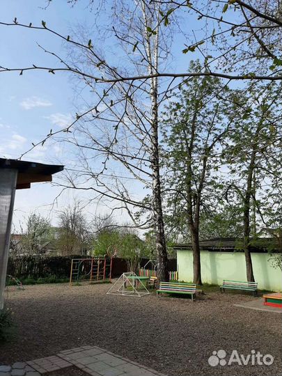 Спил деревьев