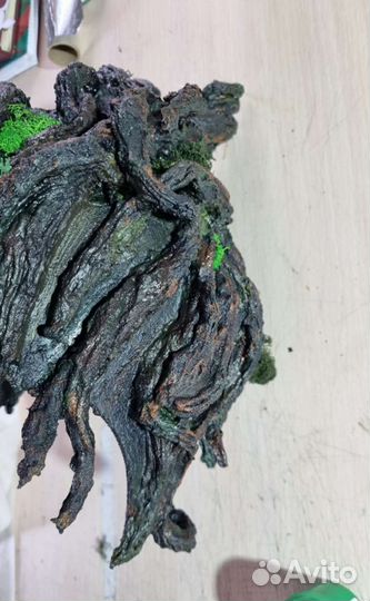 Головной убор бутофорный