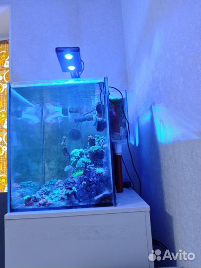 Продаётся аквариум с сампом,тумбой,гидравликой