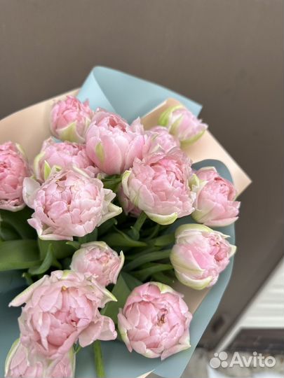 Тюльпаны к 8 марта