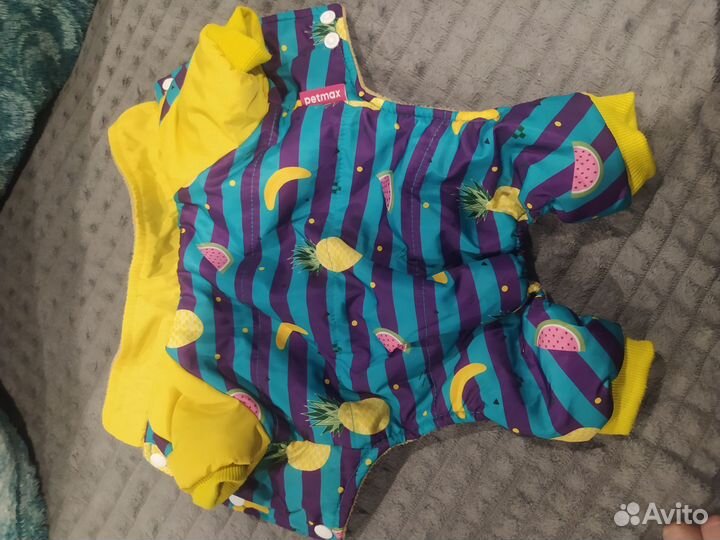 Одежда для собак