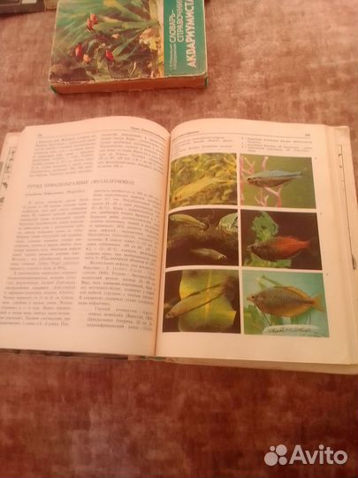 Аквариумное рыбоводство СССР