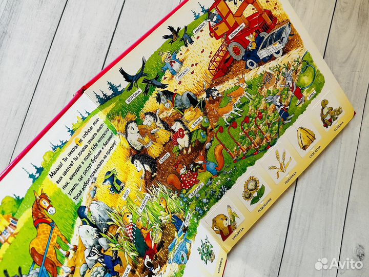 От мышки до мишки (большая книжка с окошками)