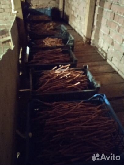 Черенки (чебуки) винограда