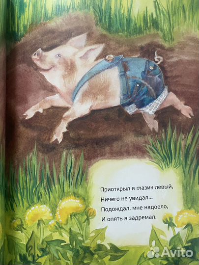 Веселые истории поросенка кнурчика