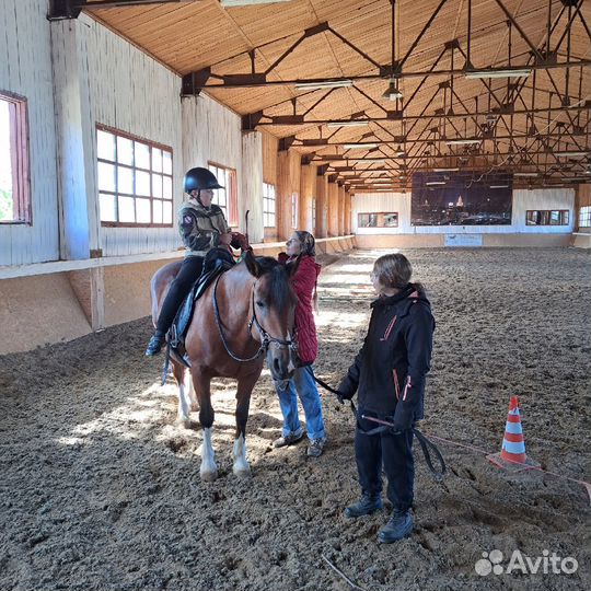 Верховая езда для детей, иппотерапия