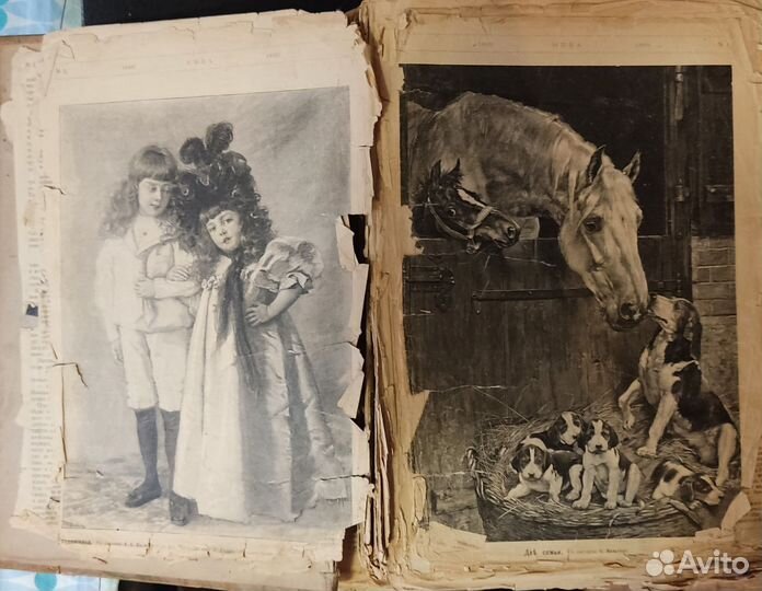 Подшивка журналов Нива 1899. Антиквариат