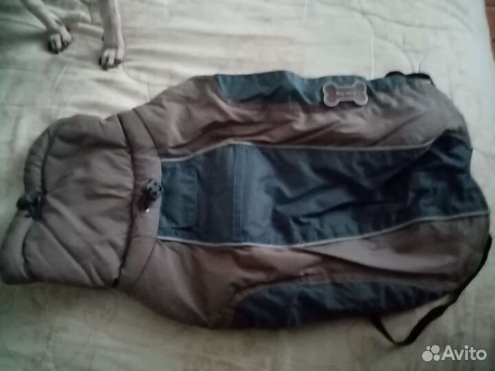 Одежда для собак