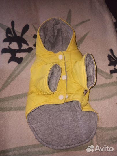 Продам курточку на маленькую собачку