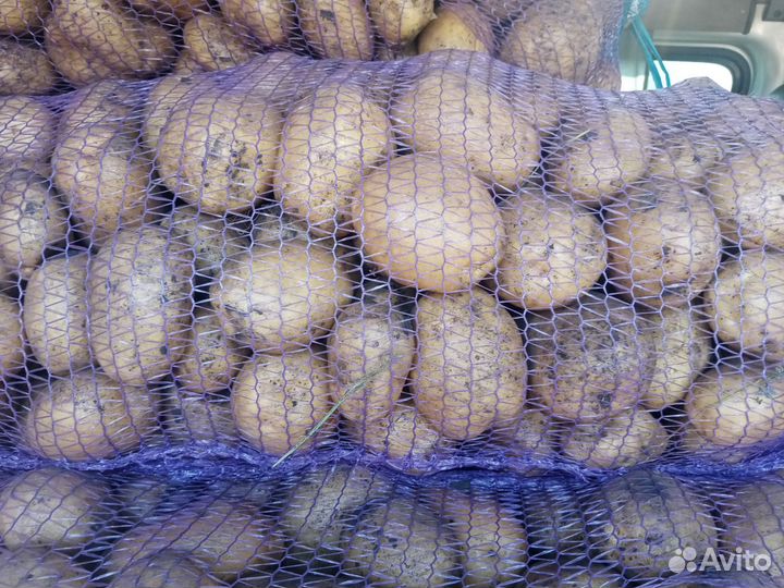 Картофель домашний отборный с доставкой на зиму